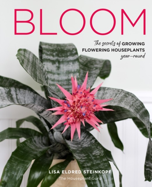 Bloom, Lisa Eldred Steinkopf