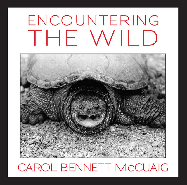 Encountering the Wild, Carol Bennett McCuaig