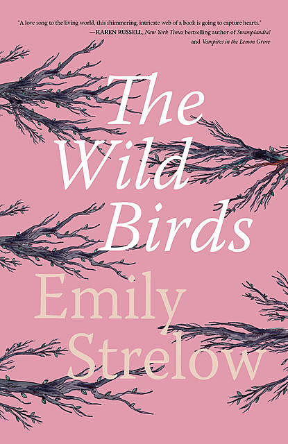 The Wild Birds, Emily Strelow