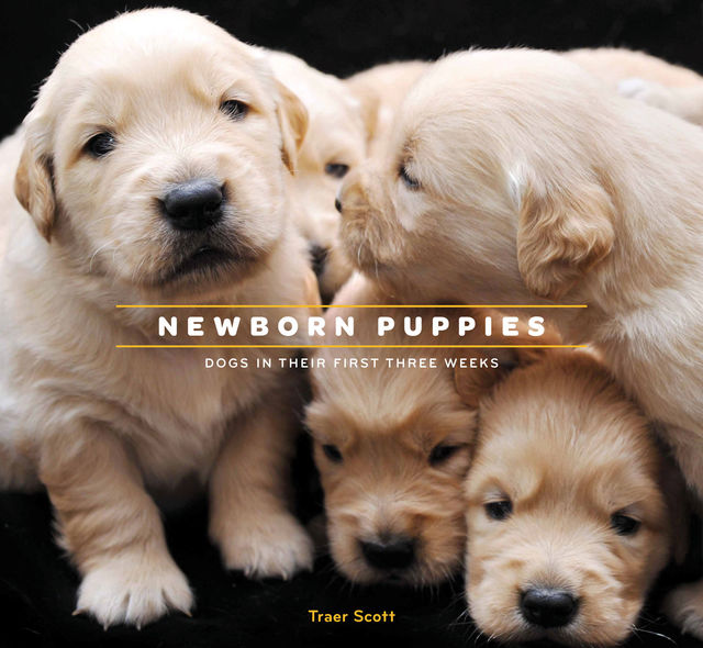 Newborn Puppies, Traer Scott
