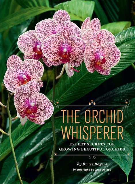 The Orchid Whisperer, Bruce Rogers