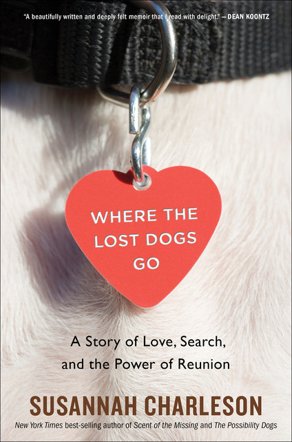 Where the Lost Dogs Go, Susannah Charleson
