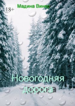 Новогодняя дорога, Мадина Винер