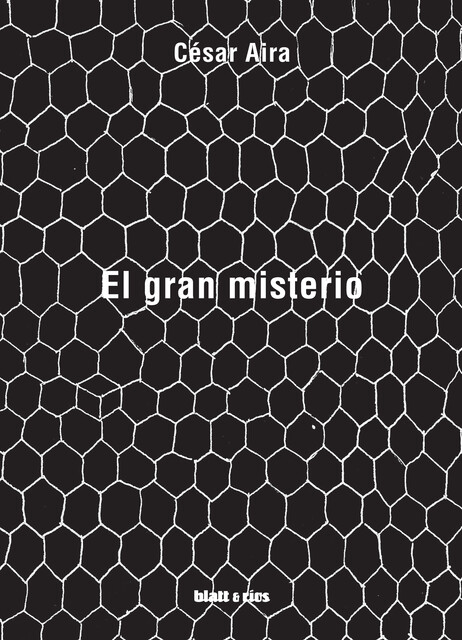El gran misterio, Cesar Aira