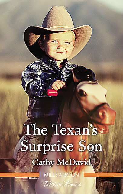 The Texan's Surprise Son, Cathy McDavid