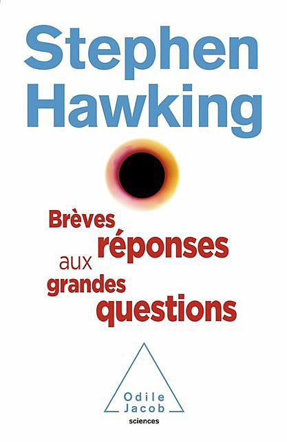 Brèves réponses aux grandes questions, Stephen Hawking