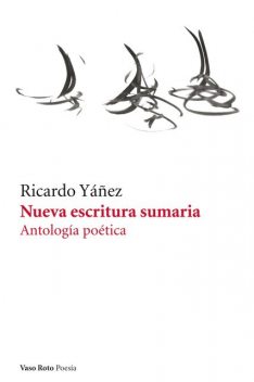 Nueva escritura sumaria, Ricardo Yáñez