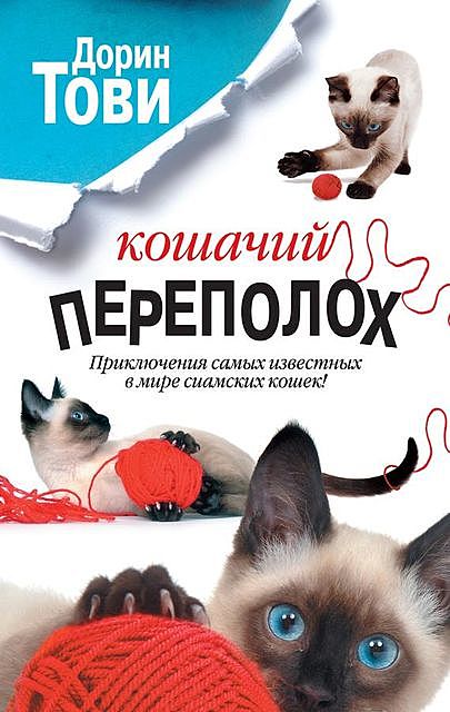 Кошачий переполох (сборник), Дорин Тови