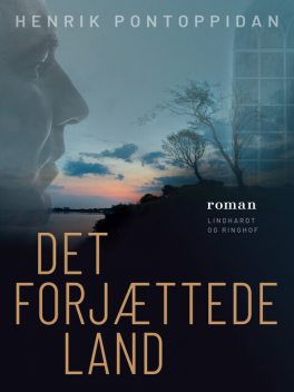 Det forjættede land, Henrik Pontoppidan