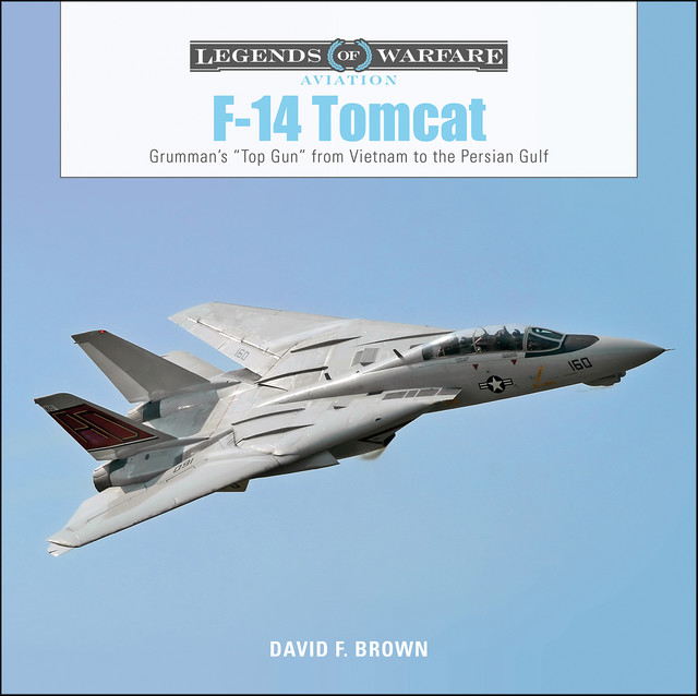 F-14 Tomcat, David Brown