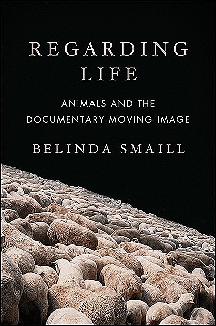 Regarding Life, Belinda Smaill