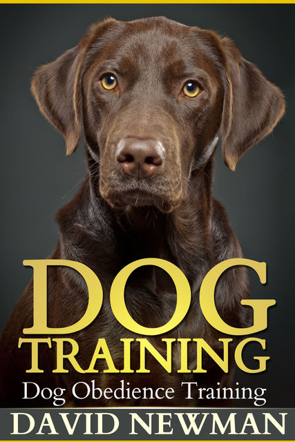 Dog Training, David Newman
