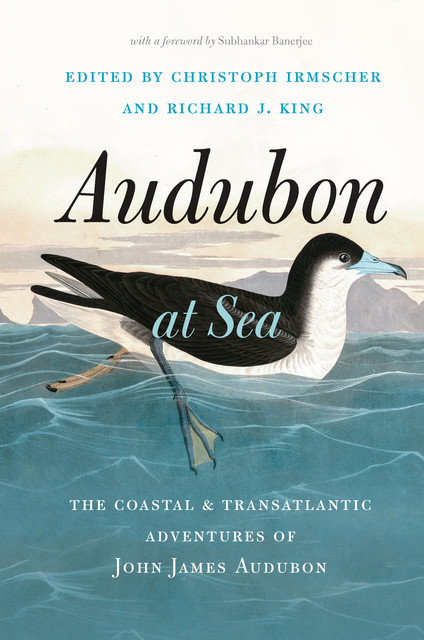 Audubon at Sea, Subhankar Banerjee