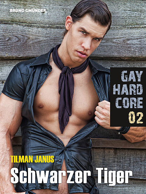 Gay Hardcore 02: Schwarzer Tiger, Tilman Janus