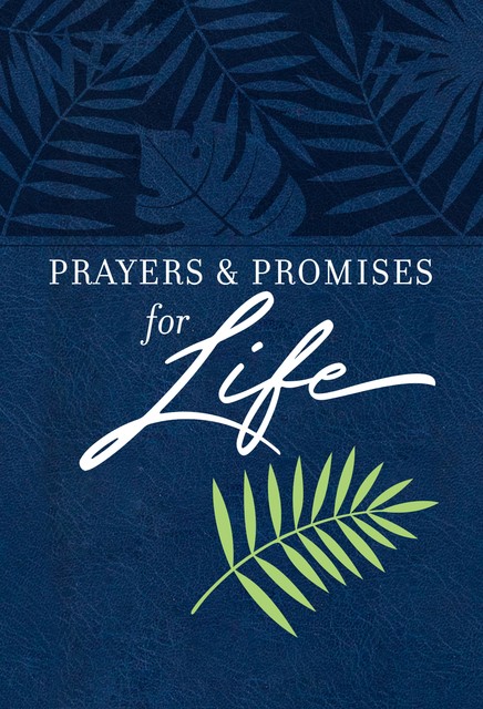 Prayers & Promises for Life, BroadStreet Publishing Group LLC