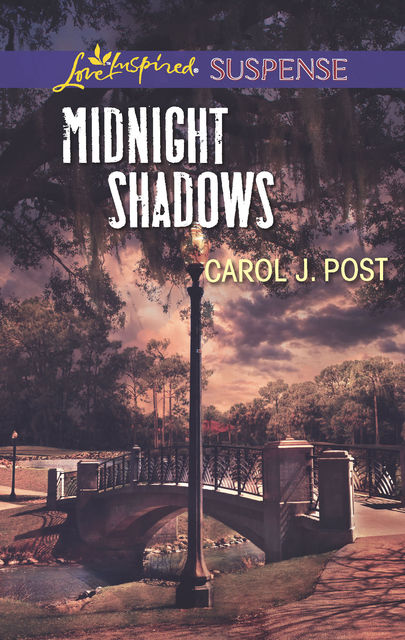 Midnight Shadows, Carol J.Post