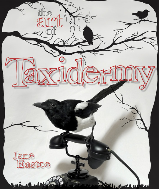 The Art of Taxidermy, Jane Eastoe