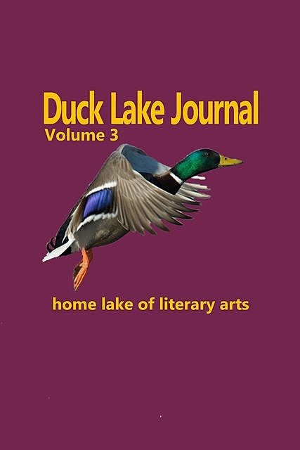 Duck Lake Journal Volume 3, Duck Lake Books