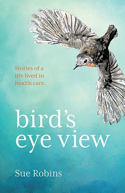 Bird's Eye View, Sue Robins