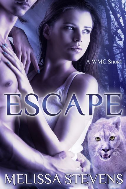 Escape, Melissa Stevens