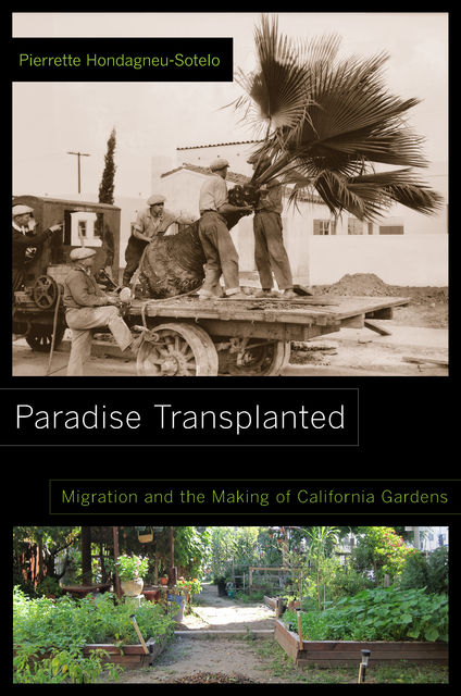 Paradise Transplanted, Pierrette Hondagneu-Sotelo