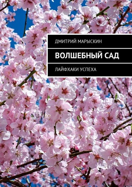 Волшебный сад, Дмитрий Марыскин