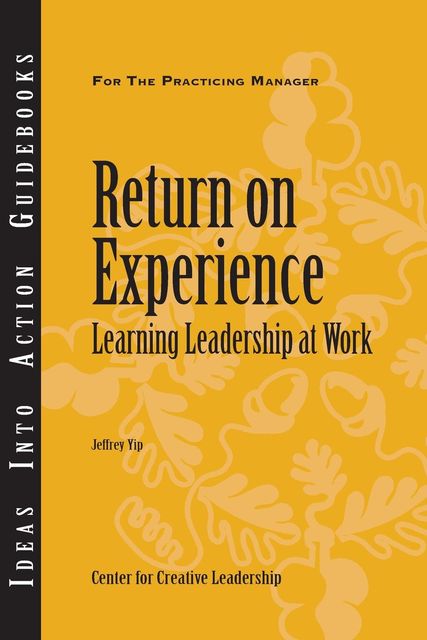 Return on Experience, Jeffrey Yip
