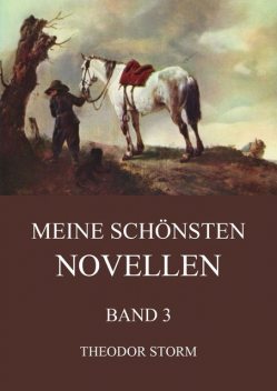 Meine schönsten Novellen, Band 3, Theodor Storm