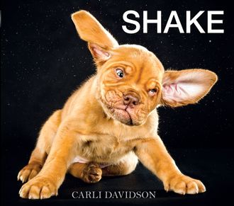 Shake, Carli Davidson