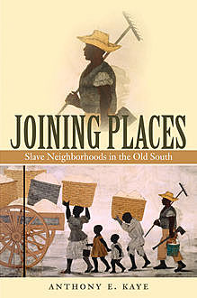 Joining Places, Anthony E. Kaye