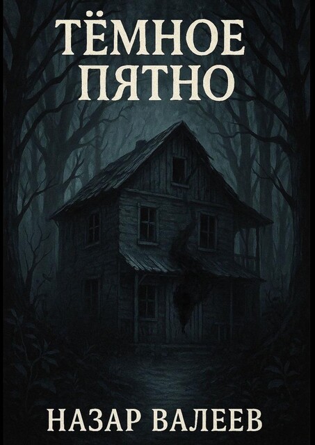 Темное пятно, Назар Валеев