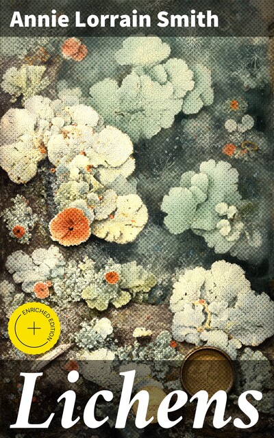 Lichens, Annie Smith
