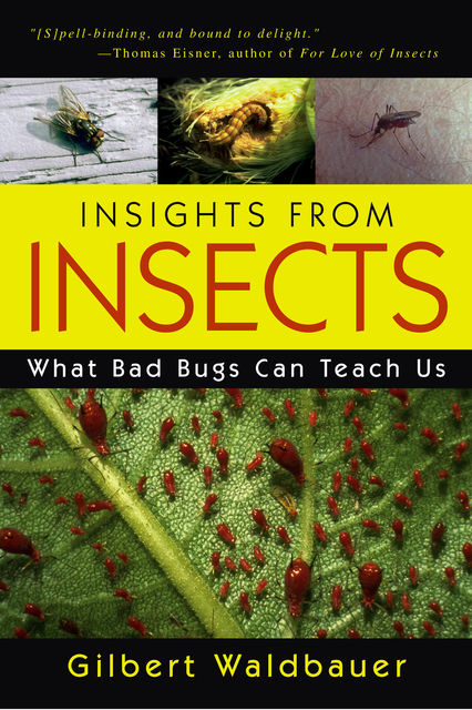 Insights From Insects, Gilbert Waldbauer
