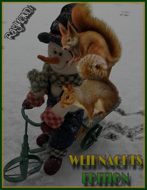 WEIHNACHTS--EDITION--2017, RAYMONDi, VAN_RIDDER ***CHEVALIER***