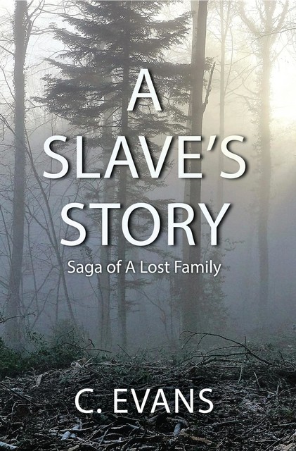 A Slave's Story, Evans