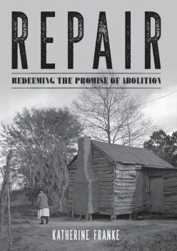 Repair, Katherine Franke