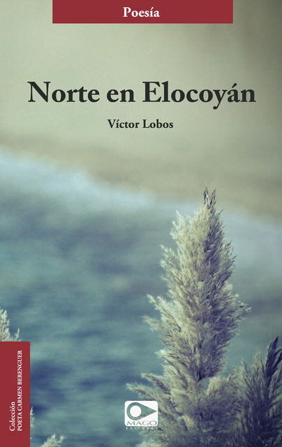 Norte en Elocoyán, Víctor Lobos