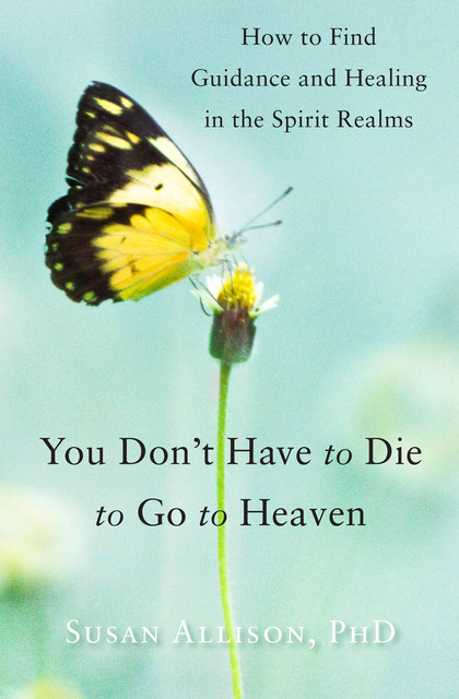 You Don't Have to Die to Go to Heaven, Susan Allison