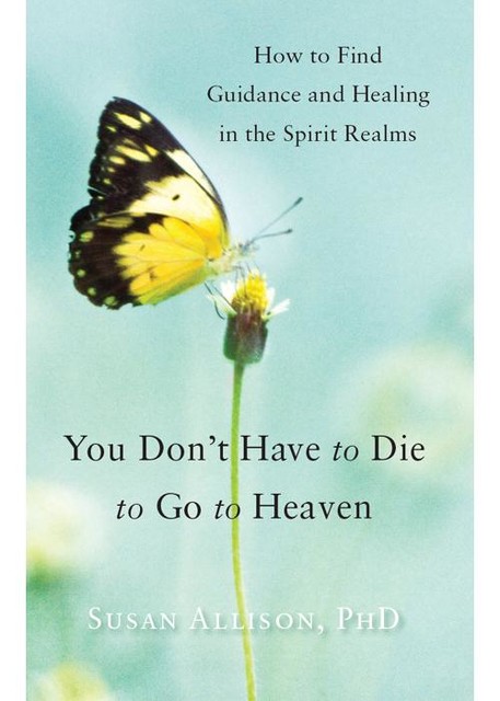 You Don't Have to Die to Go to Heaven, Susan Allison