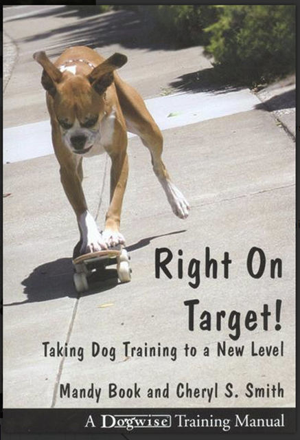 RIGHT ON TARGET, Cheryl Smith, Mandy Book