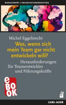 Was, wenn sich mein Team gar nicht entwickeln will, Michel Eggebrecht