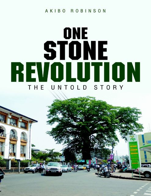 One Stone Revolution: The Untold Story, Akibo Robinson