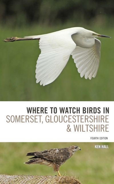 Where To Watch Birds in Somerset, Gloucestershire and Wiltshire, Ken Hall