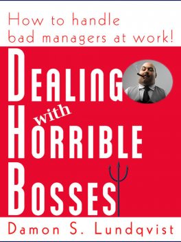 Dealing With Horrible Bosses, Damon Lundqvist