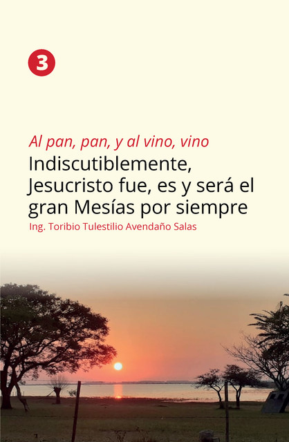 Al pan, pan, y al vino, vino 3, Ing. Toribio Tulestilio Avendaño Salas