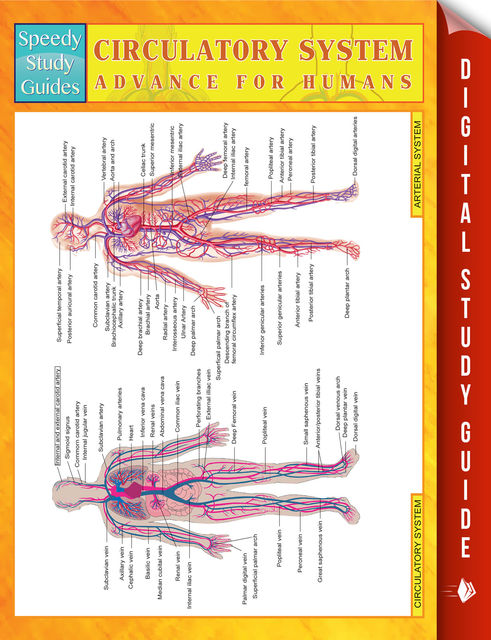 Circulatory System Advanced For Humans, Speedy Publishing