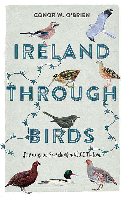 Ireland Through Birds, Conor O'Brien