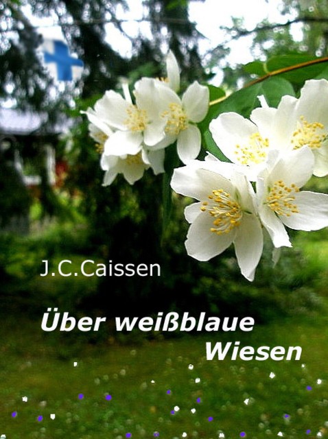 Über weißblaue Wiesen, J.C. Caissen