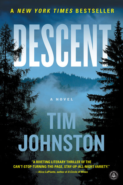 Descent, Tim Johnston