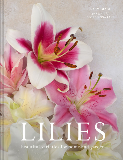 Lilies, Naomi Slade